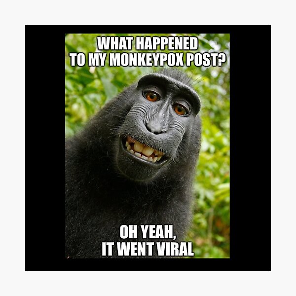 Monkeypox Meme Funny Funny Monkeypox Meme Monkey Pox Memes For   Pp,504x498 Pad,600x600,f8f8f8 