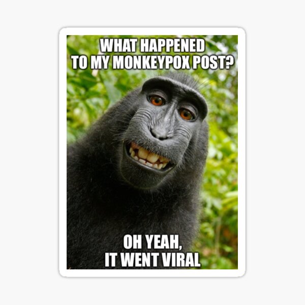 Monkeypox Meme Funny Funny Monkeypox Meme Monkey Pox Memes For   St,small,507x507 Pad,600x600,f8f8f8 