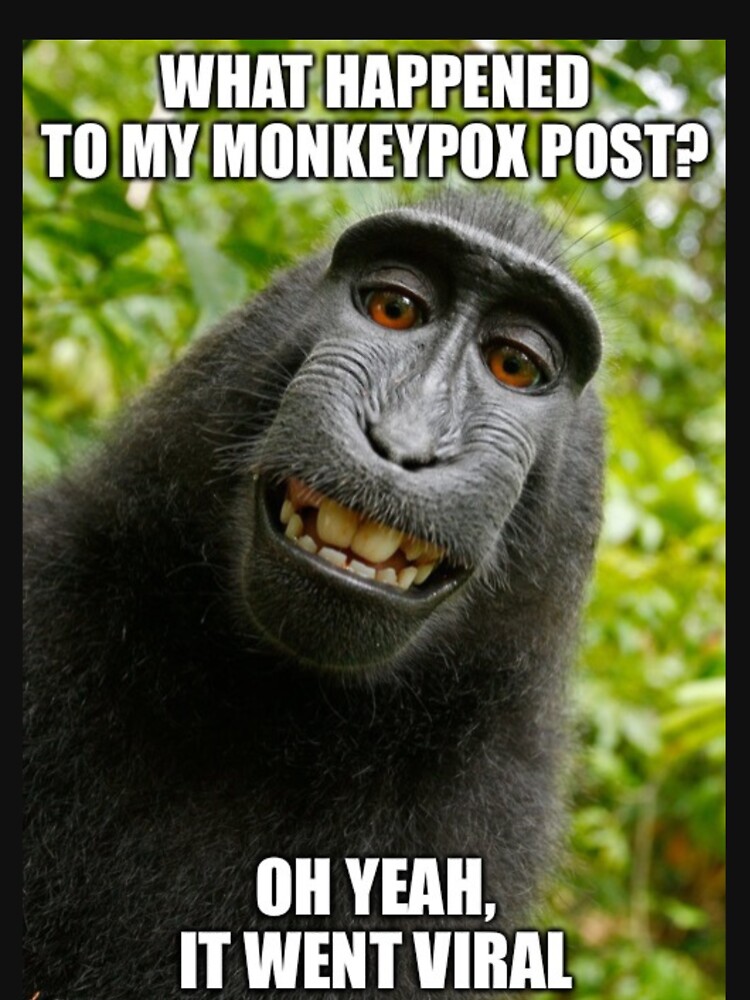 Monkeypox Meme Funny Funny Monkeypox Meme Monkey Pox Memes For   Raf,750x1000,075,t,101010 01c5ca27c6 