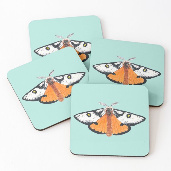 Item preview, ELECTRA BUCK MOTH-hemileuca electra mojavensis designed and sold by BEATRIZ ABAITUA.
