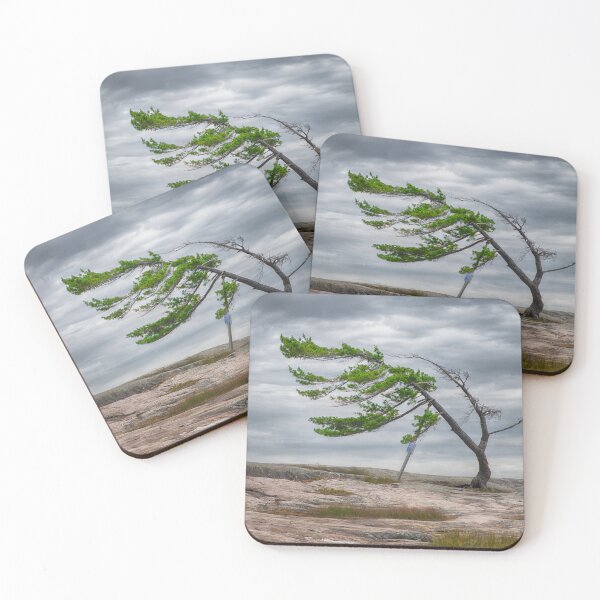 Item preview, Killbear Provincial Park Tree designed and sold by (Tallow) Dave  Van de Laar.