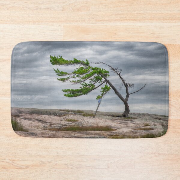 Item preview, Killbear Provincial Park Tree designed and sold by (Tallow) Dave  Van de Laar.