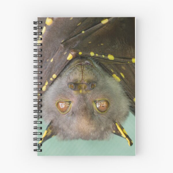 Item preview, Eastern Tube nosed bat in care designed and sold by Connie Pinson.
