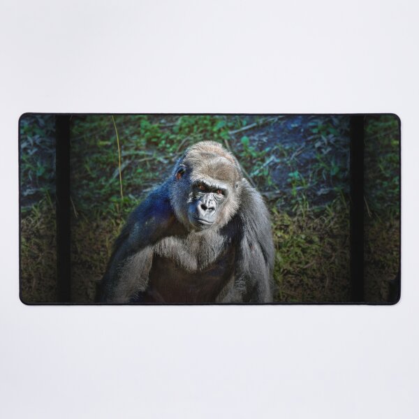 Item preview, Gorilla  designed and sold by Savannah Gibbs.