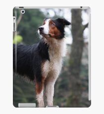 Tricolor Collie iPad Case/Skin