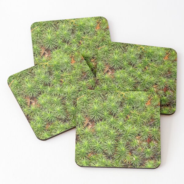 Item preview, Sprucey    |    Nature designed and sold by RedHandedOD.