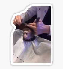 Monkey Haircut Sticker