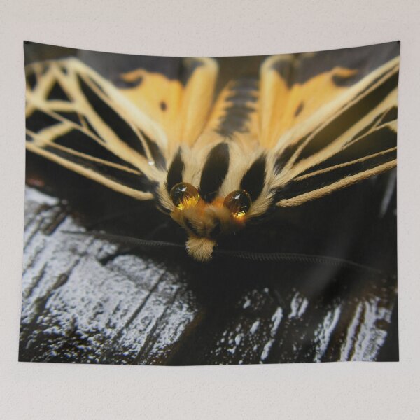 Item preview, Tiger Moth designed and sold by Batty4Boba.