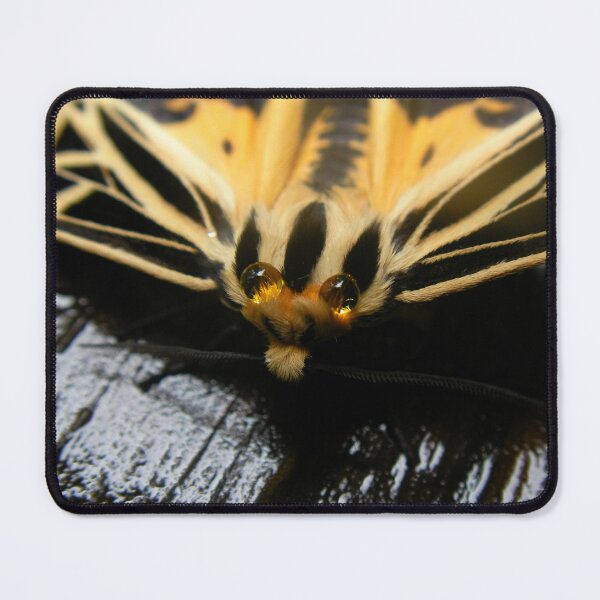 Item preview, Tiger Moth designed and sold by Batty4Boba.