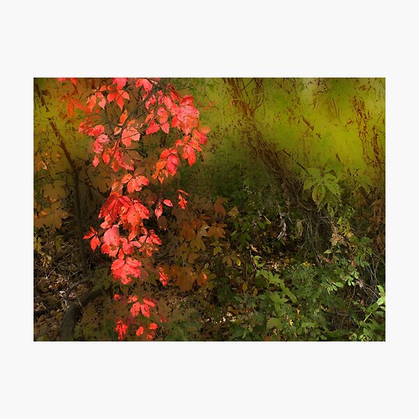 Item preview, 3746 designed and sold by peter holme III.