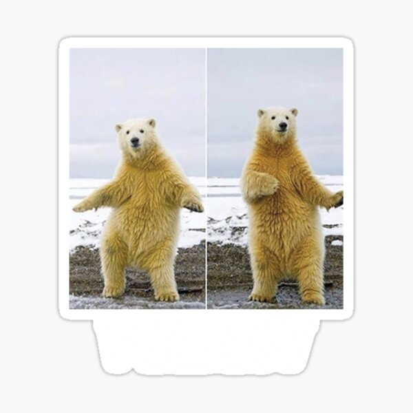 We Bare Bears Ice Bear Smug Meme Generator
