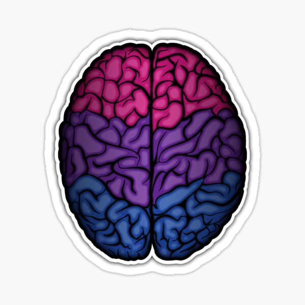 Bisexual Brain Sticker