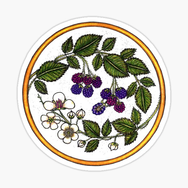 WILD BLACKBERRY Sticker