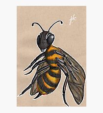 Bumble Photographic Print