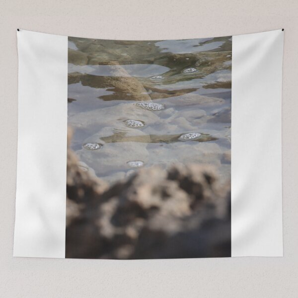 Item preview, Bubbles designed and sold by Taylor Cable.