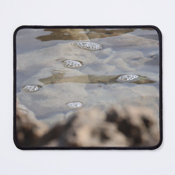 Item preview, Bubbles designed and sold by Taylor Cable.