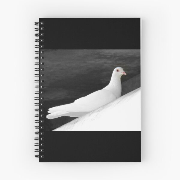 Item preview, Coo, Coo Coo designed and sold by Jean Gregory Evans.