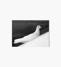 Coo, Coo Coo Art Board