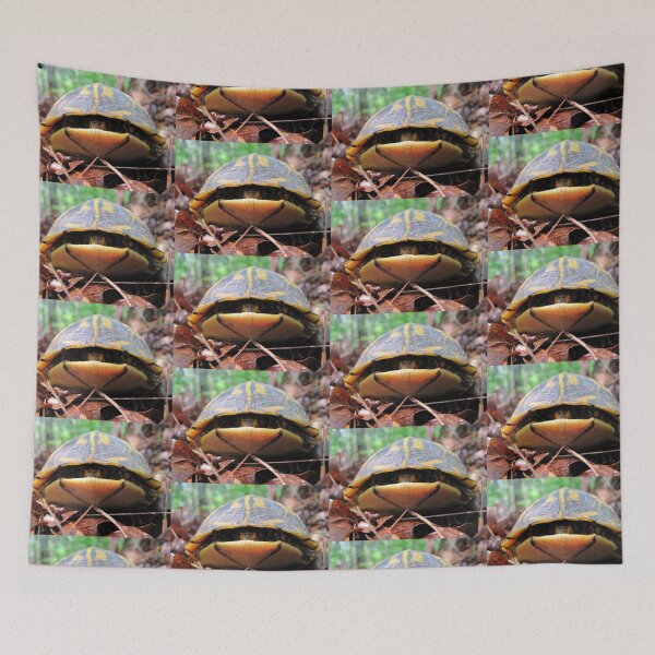 Item preview, Turtle Sneaks a Peek designed and sold by Jean Gregory Evans.