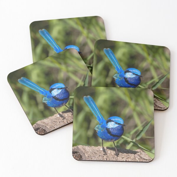Item preview, Splendid Fairy Wren (Male) Western Australia designed and sold by Andrew Goodall.