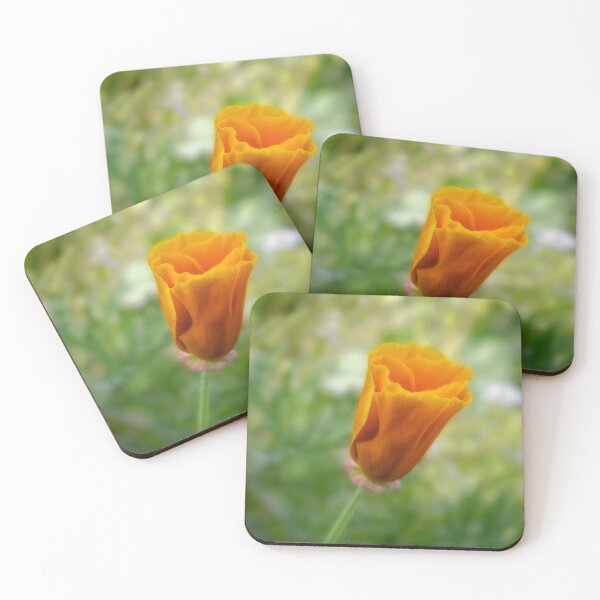 Item preview, California poppy bud (Eschscholzia californica) designed and sold by Art in Nature.