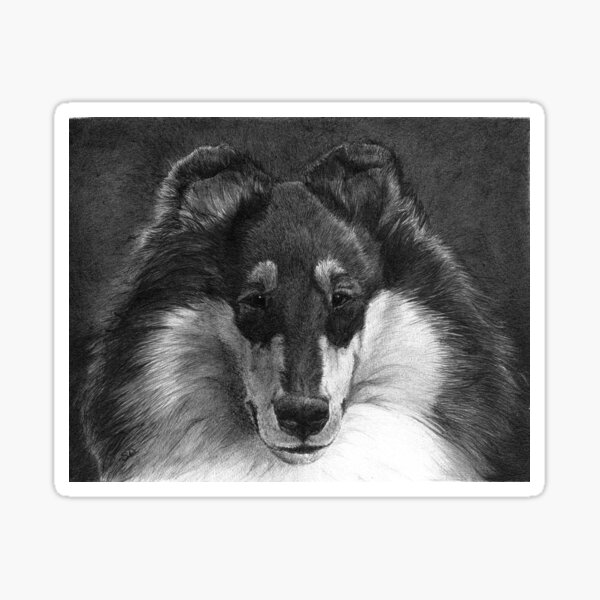 CRASH/Rough Collie Sticker