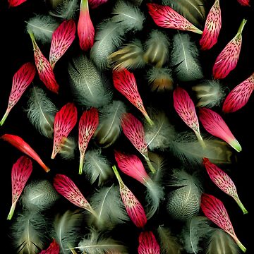 Artwork thumbnail, Petal Duet 1 Dark Floral by LindasPhotoArt