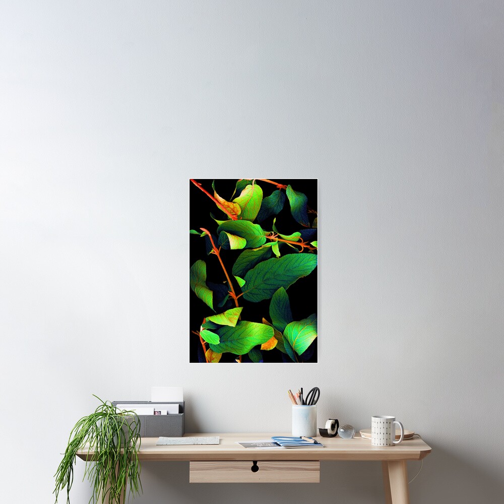 Item preview, Poster designed and sold by LindasPhotoArt.