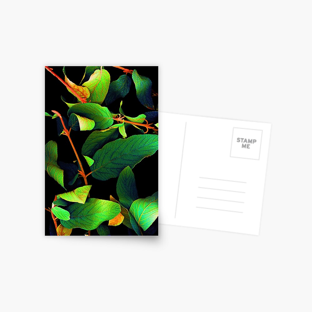 Item preview, Postcard designed and sold by LindasPhotoArt.