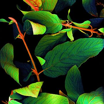 Artwork thumbnail, Chromatic Leaves 3 Dark Botanical by LindasPhotoArt