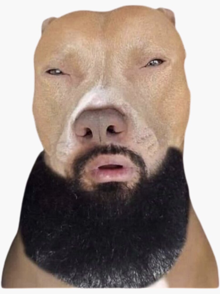 "Light Skin Pitbull" Sticker for Sale by M1lkslyvan Redbubble