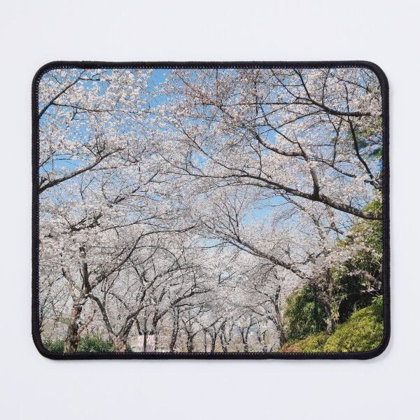 Item preview, Road Surrounded by Cherry Blossoms designed and sold by TheVIP.