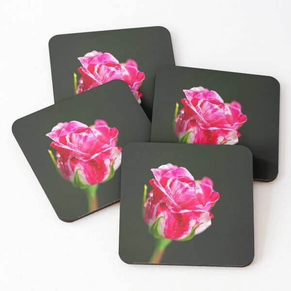 Item preview, Pink And Variegated Rose Performance designed and sold by Joy Watson - Natural Light Photography .