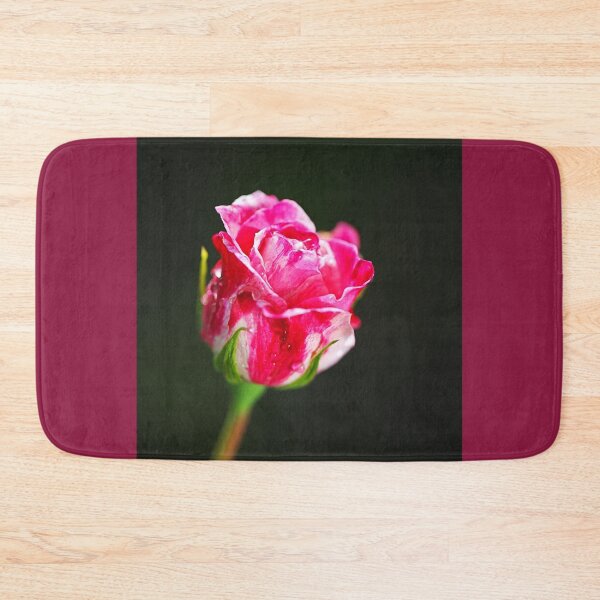 Item preview, Pink And Variegated Rose Performance designed and sold by Joy Watson - Natural Light Photography .