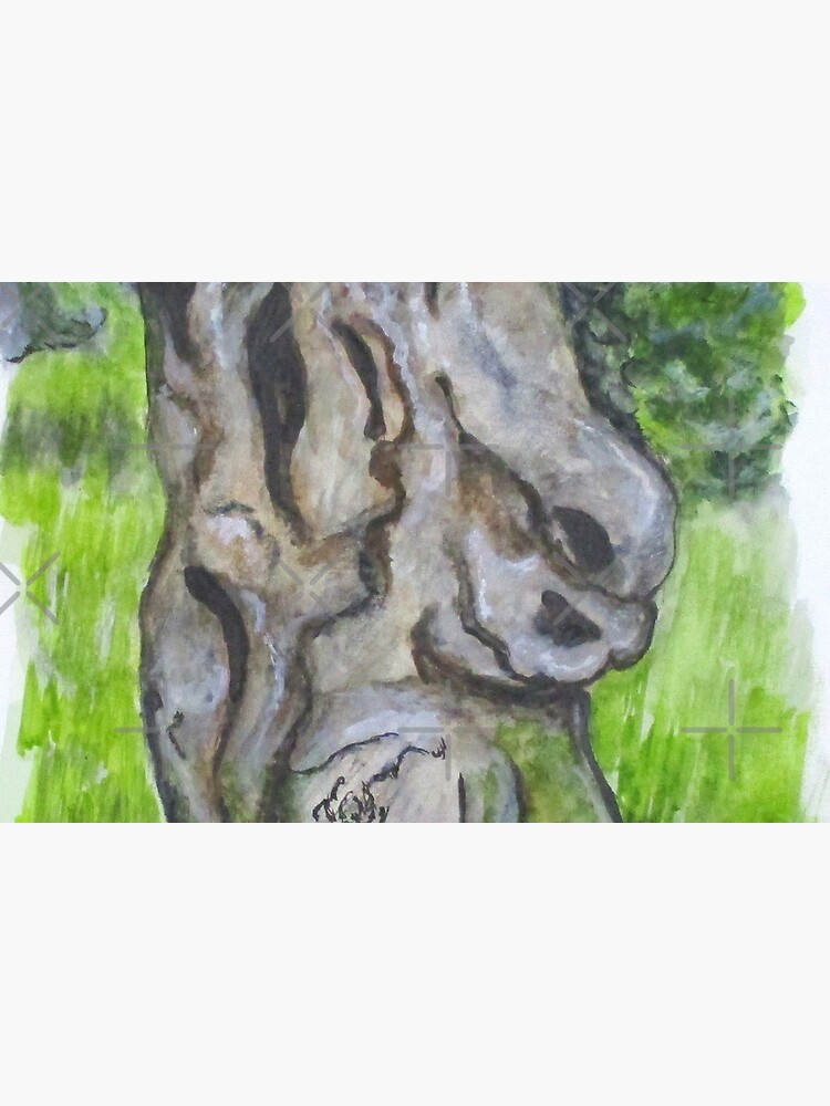 Wisdom Olive Tree by cjkell