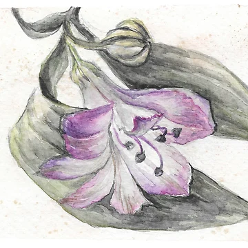 Artwork thumbnail, Flower by Edward Nekrasov