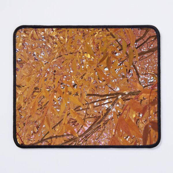 Item preview, Into the heart of a beautiful tree with golden Autumn colours designed and sold by Dani Vittz.