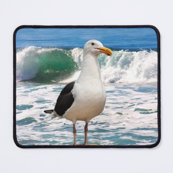 Item preview, San Diego Seagull By the Ocean designed and sold by heatherfriedman.