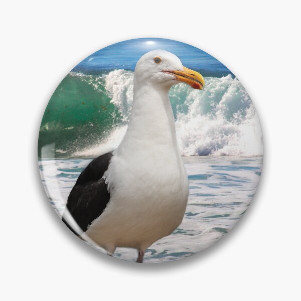Item preview, San Diego Seagull By the Ocean designed and sold by heatherfriedman.