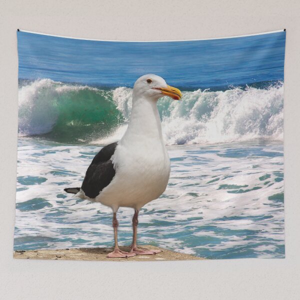 Item preview, San Diego Seagull By the Ocean designed and sold by heatherfriedman.