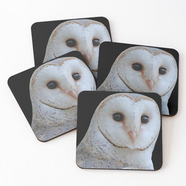 Item preview, Barn Owl face 2 designed and sold by quentinjlang.
