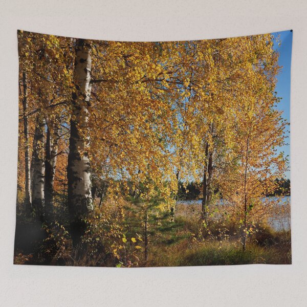 Item preview, Yellow birches by the lake 2 designed and sold by Jouko Lehto Photography.