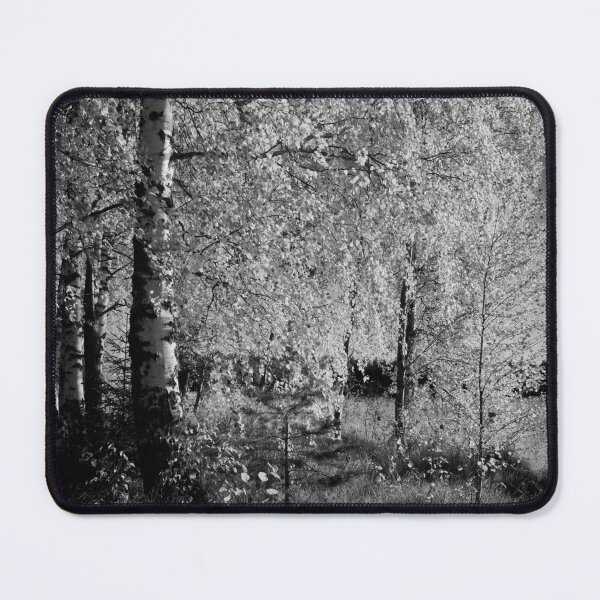 Item preview, Birches by the lake 2 bw designed and sold by Jouko Lehto Photography.