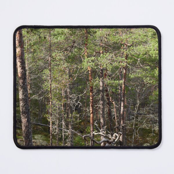 Item preview, Pines forever designed and sold by Jouko Lehto Photography.