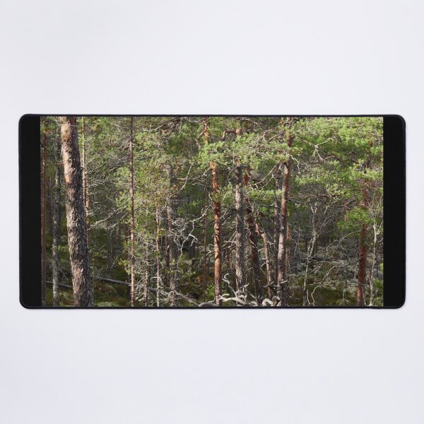 Item preview, Pines forever designed and sold by Jouko Lehto Photography.