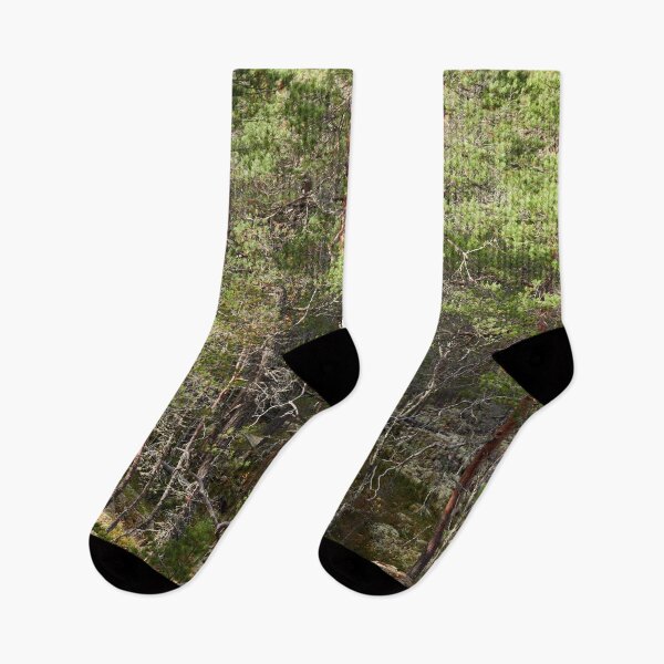 Item preview, Pines forever designed and sold by Jouko Lehto Photography.