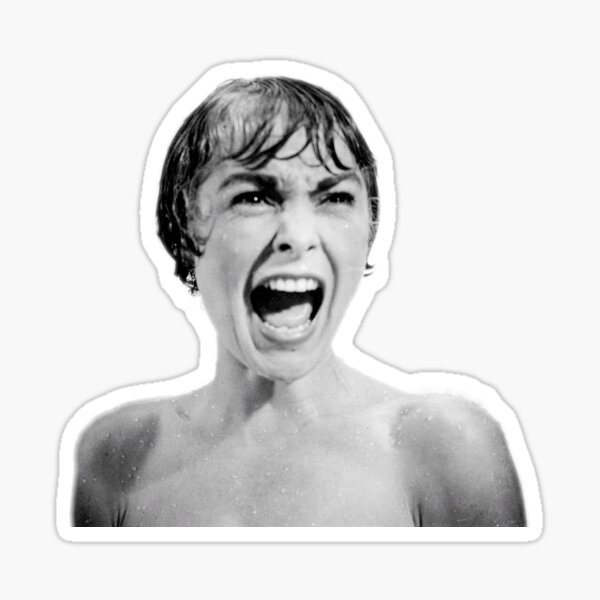 Psycho 1960 Sticker