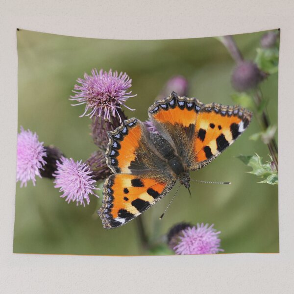 Item preview, Small tortoiseshell  designed and sold by cuprum.