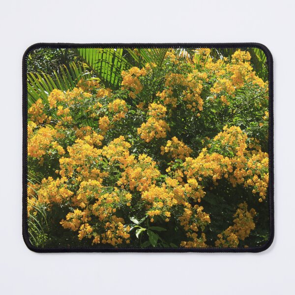 Item preview, Yellow flower tree in the garder designed and sold by Jean-Marie Heyman.
