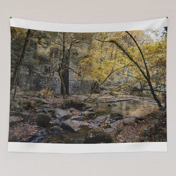 Item preview, Autumn peace time, Kennall Vale Cornwall designed and sold by kathleenjean.